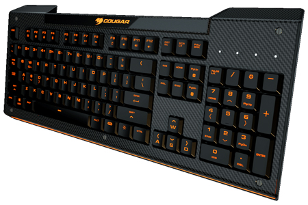 news cougar aurora 1.jpg