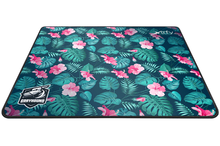 XTRFY-GP1-GRAYHOUND-TROPICAL-1.gif